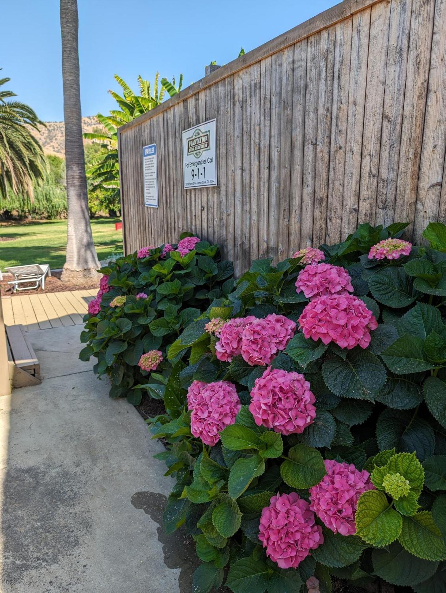 The Parks Inn Lemon Cove Luaran gambar