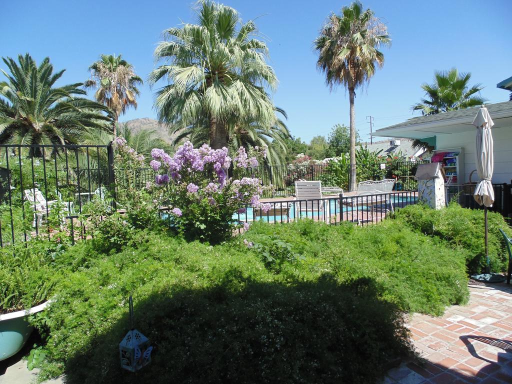 The Parks Inn Lemon Cove Luaran gambar